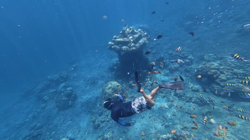 Amed’s underwater world up close 3